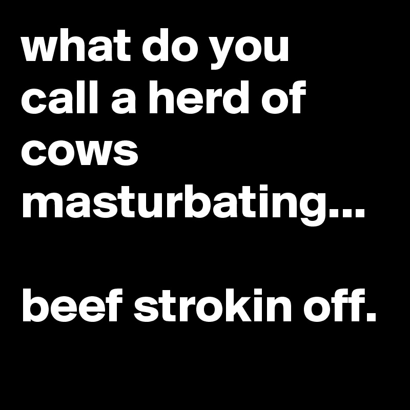 What Do You Call A Masturbating Cow